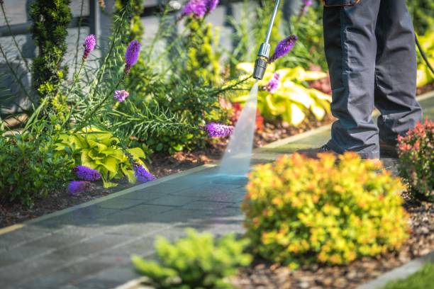 Best Driveway Pressure Washing  in Oak Ridge, NC