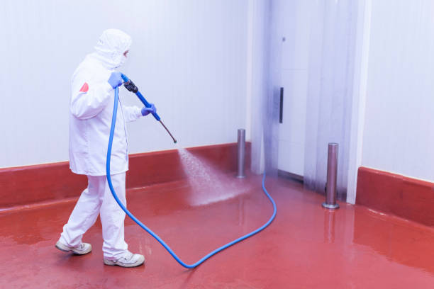 Best Pre-Holiday Cleaning  in Oak Ridge, NC