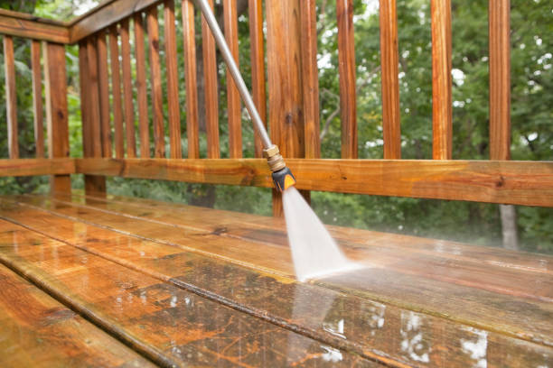 Best Animal Enclosure Cleaning  in Oak Ridge, NC